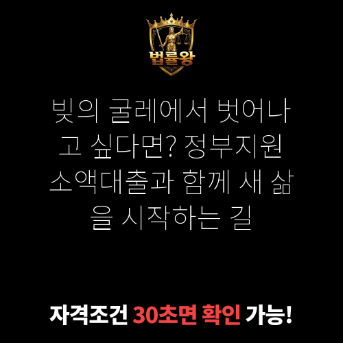 정부지원소액대출