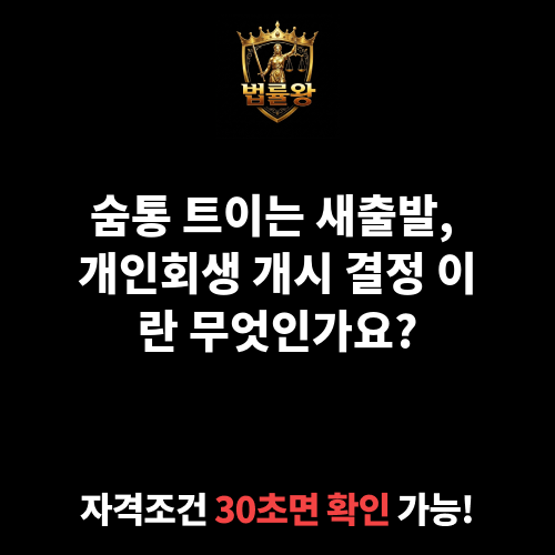 개시 결정 이란