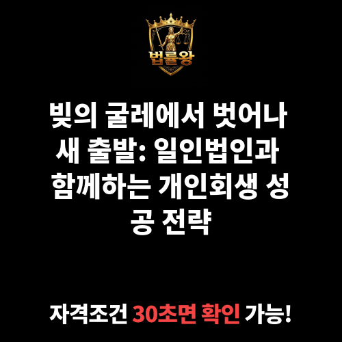 일인법인