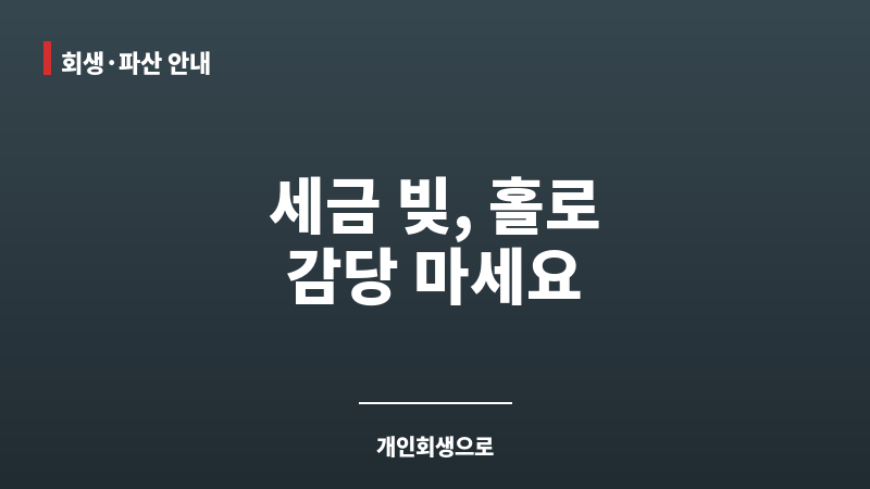 개인회생세금 보조 이미지 개인회생세금 보조 이미지
