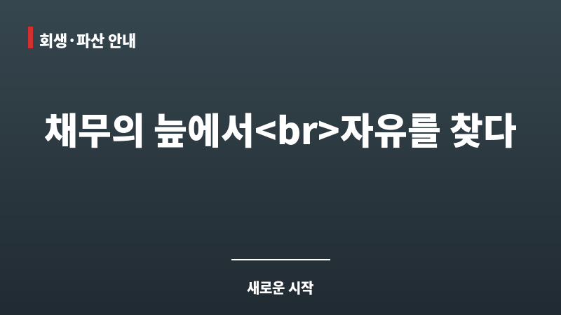 개인회생직접 보조 이미지 개인회생직접 보조 이미지