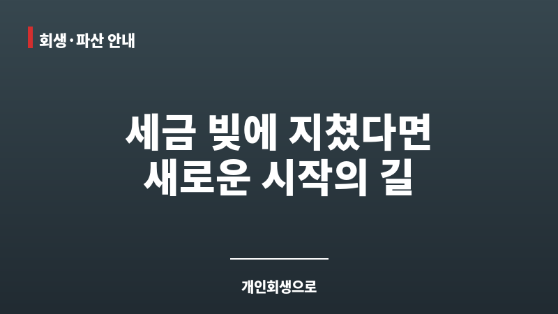 세금체납개인회생 보조 이미지 세금체납개인회생 보조 이미지