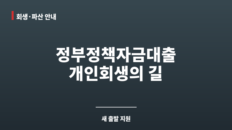 정부정책자금대출 보조 이미지