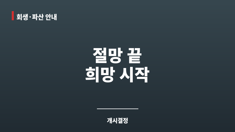 개인회생 개시결정 보조 이미지