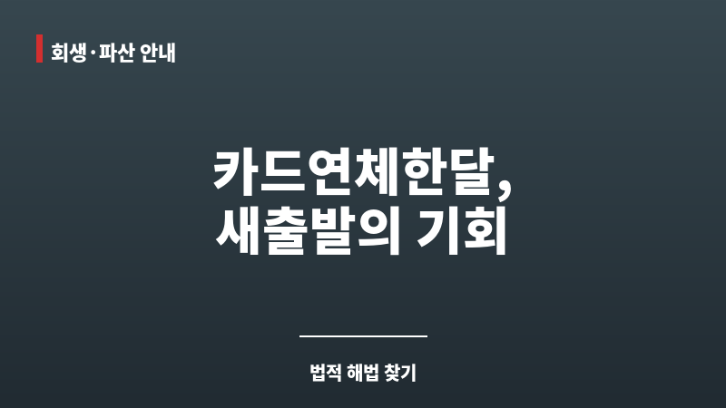 카드연체한달 보조 이미지