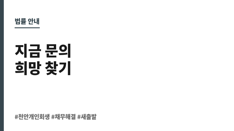 천안개인회생변호사 보조 이미지 천안개인회생변호사 보조 이미지
