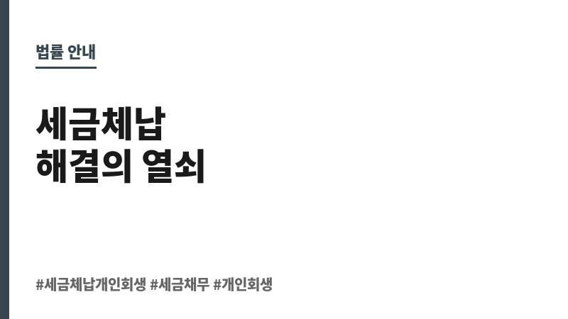 세금체납개인회생 보조 이미지 세금체납개인회생 보조 이미지