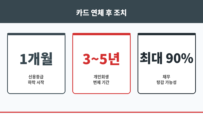카드연체한달 보조 이미지