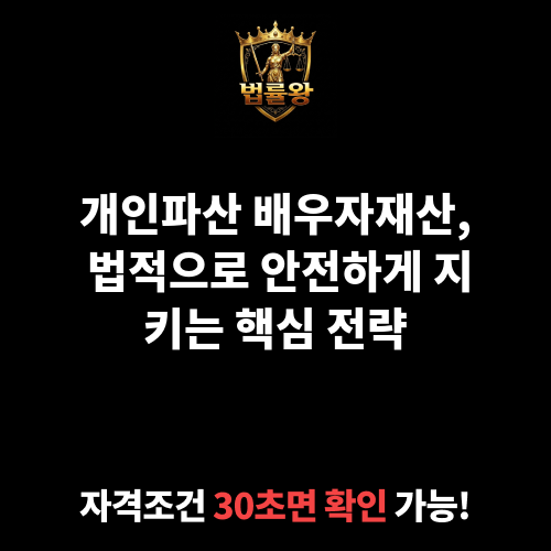 개인파산 배우자재산