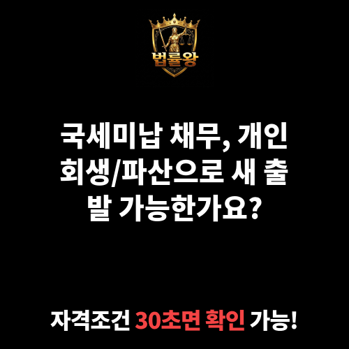 국세미납