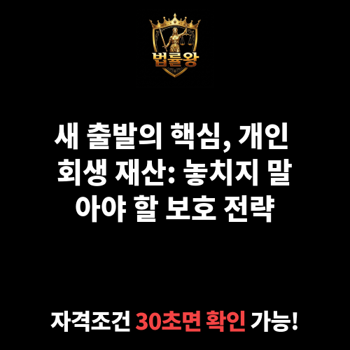 개인 회생 재산