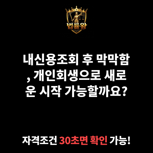 내신용조회