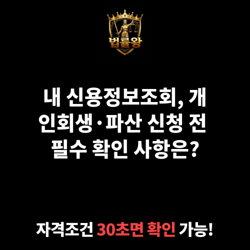 내신용정보조회