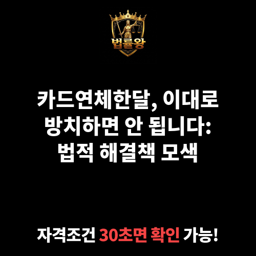 카드연체한달