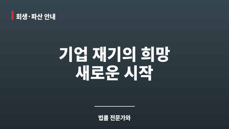 부산법인회생 보조 이미지