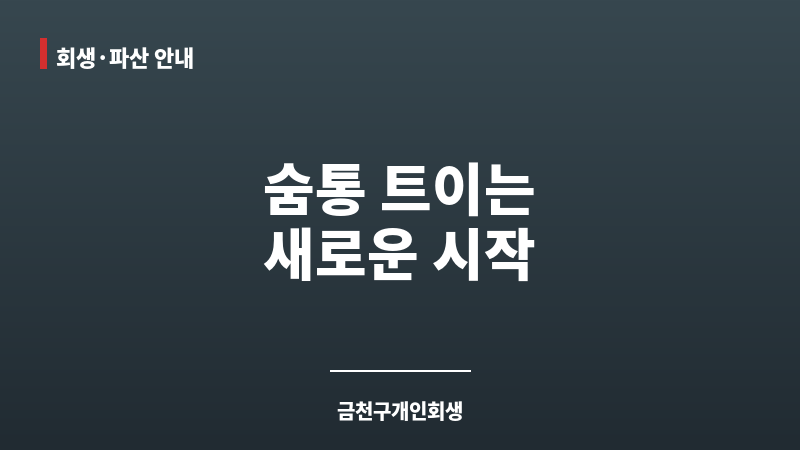금천구개인회생 보조 이미지