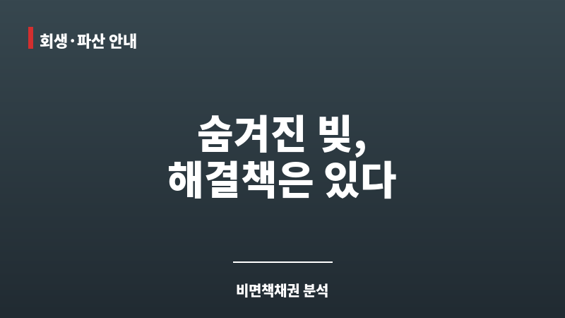 비면책채권 보조 이미지