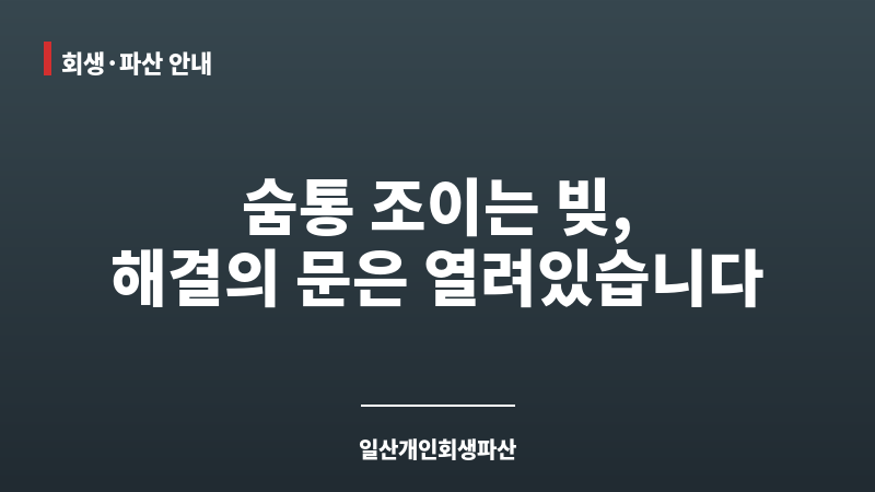 일산개인회생파산 보조 이미지 일산개인회생파산 보조 이미지