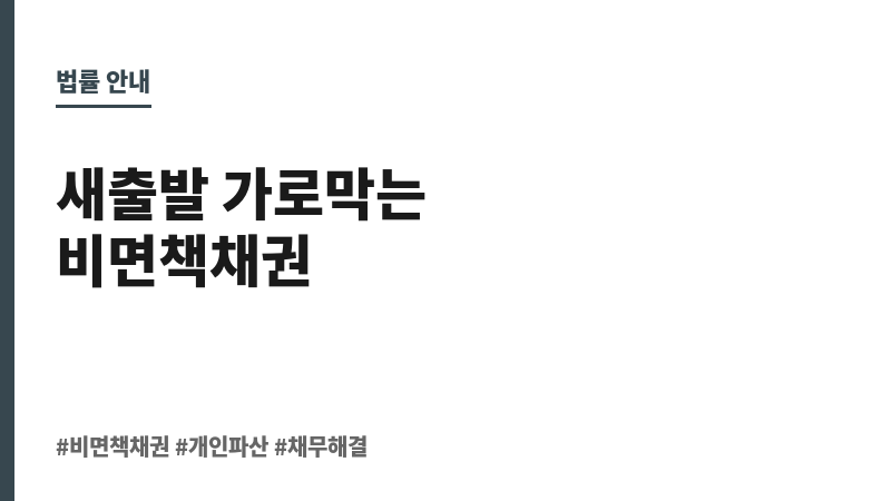 비면책채권 보조 이미지