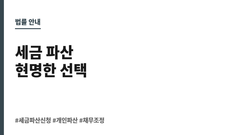 세금파산신청 보조 이미지 세금파산신청 보조 이미지