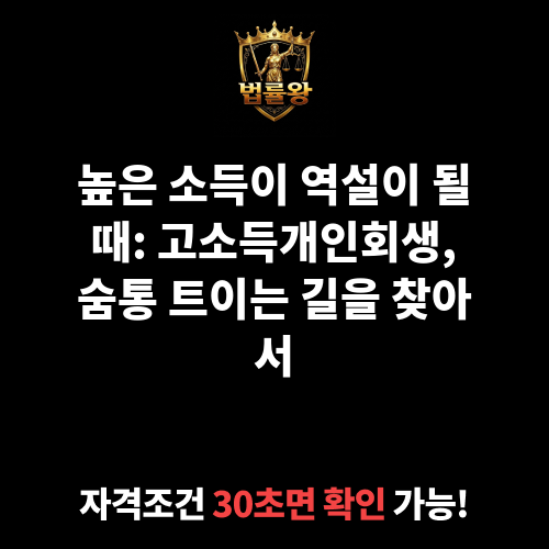 고소득개인회생