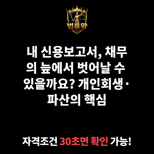 신용보고서
