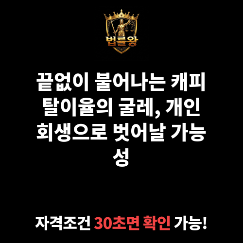 캐피탈이율