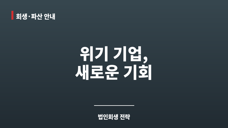 법인회생절차 기간 보조 이미지 법인회생절차 기간 보조 이미지