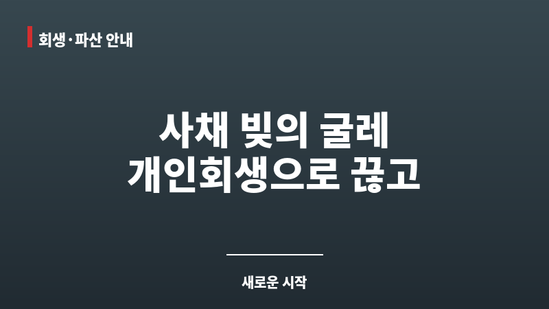 개인회생 사채 보조 이미지 개인회생 사채 보조 이미지
