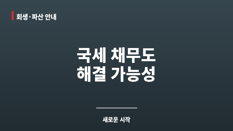 개인회생국세 보조 이미지 개인회생국세 보조 이미지