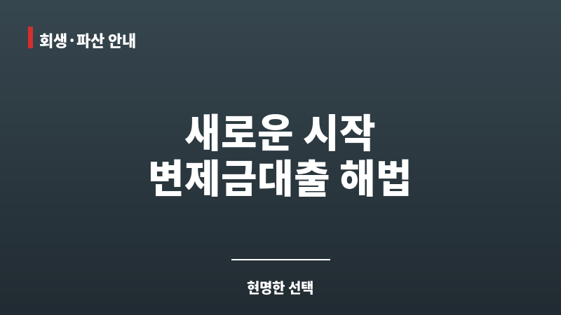 변제금대출 보조 이미지 변제금대출 보조 이미지