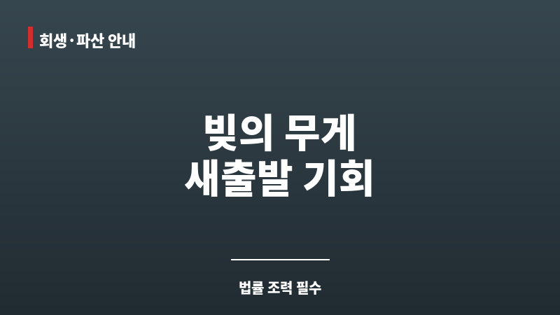 법무법인개인회생 보조 이미지