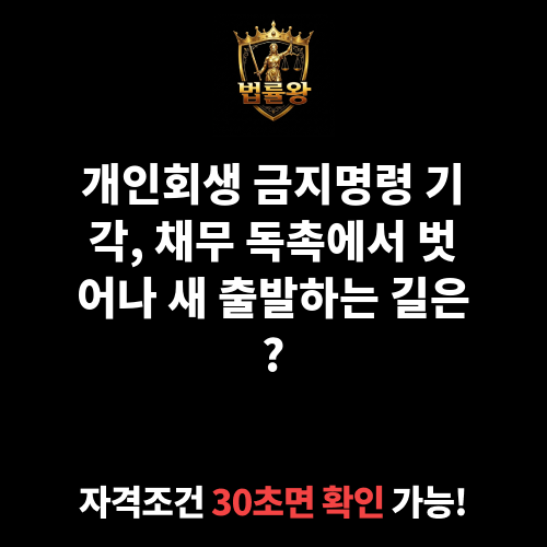 개인회생 금지명령 기각
